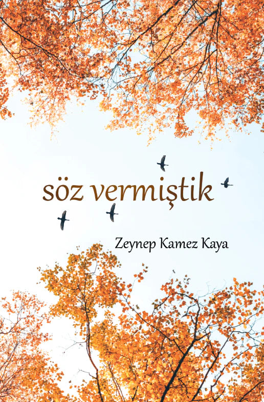 Söz Vermistik