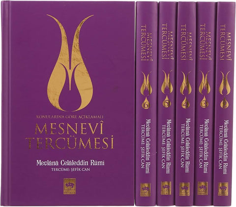 Konularına Göre Açıklamalı Mesnevi Tercümesi