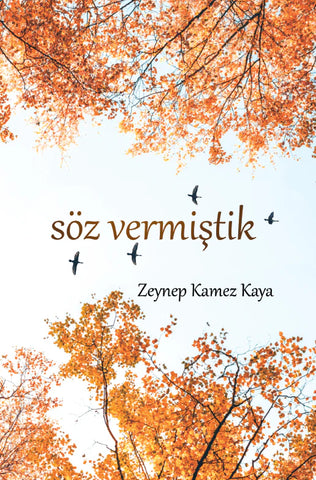 Söz Vermistik