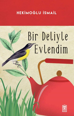 Bir Deliyle Evlendim
