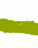 PIRLANTA SET-4  (12 KITAP)