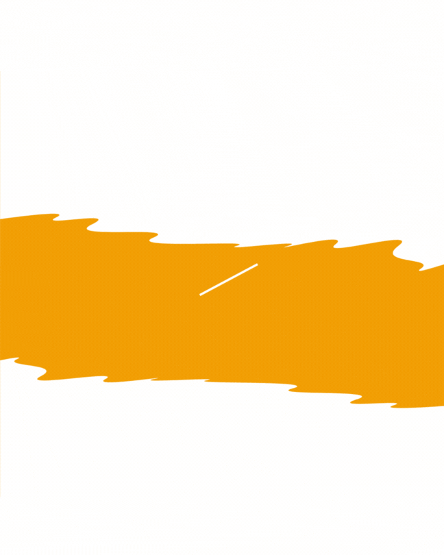 PIRLANTA SET-5  (20 KITAP)