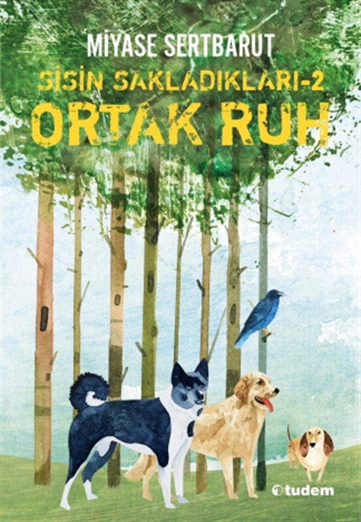 Sisin Sakladıkları- 2 Ortak Ruh (11-14 Yaş)