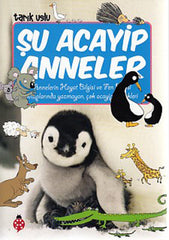 Şu Acayip Anneler (9-12 Yaş)