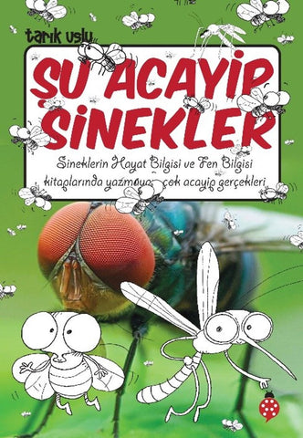 Şu Acayip Sinekler (9-12 Yaş)
