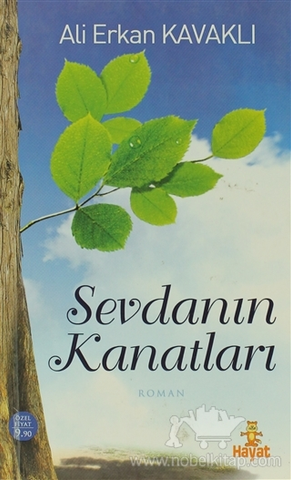 Sevdanın Kanatları