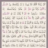 Hafız Boy Kur'an-ı Kerim (2 Renkli, Pembe, Mühürlü)HAYRAT NEŞRİYAT