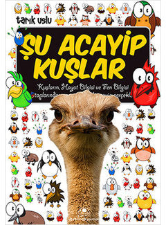 Şu Acayip Kuşlar